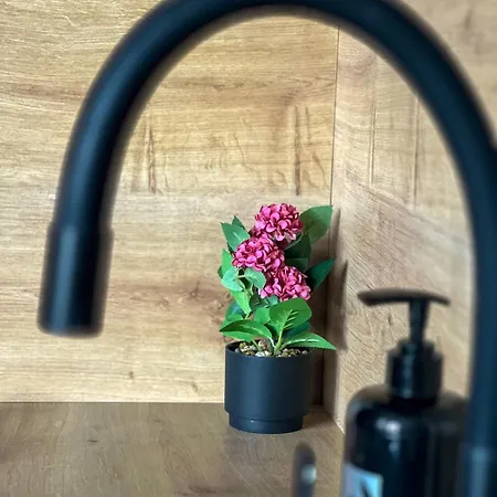 Studio Apartment Szarajevó